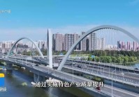 关于临沂品质网站建设哪家便宜的信息